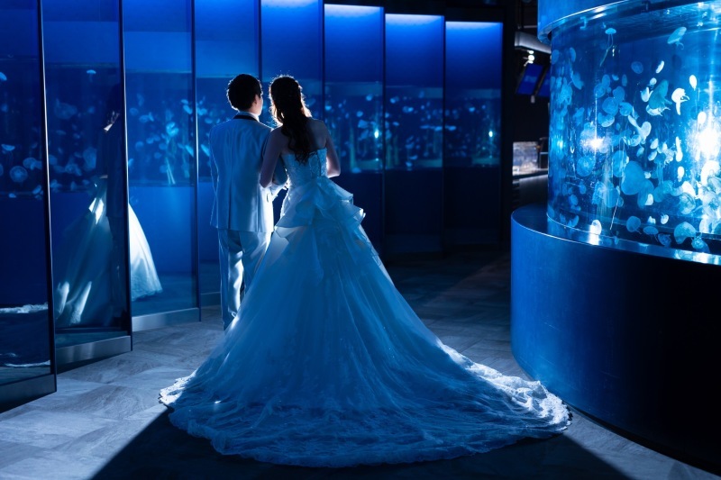 ベルクラシック大阪写真室 (THE BELLCLASSIC OSAKA)_投稿写真