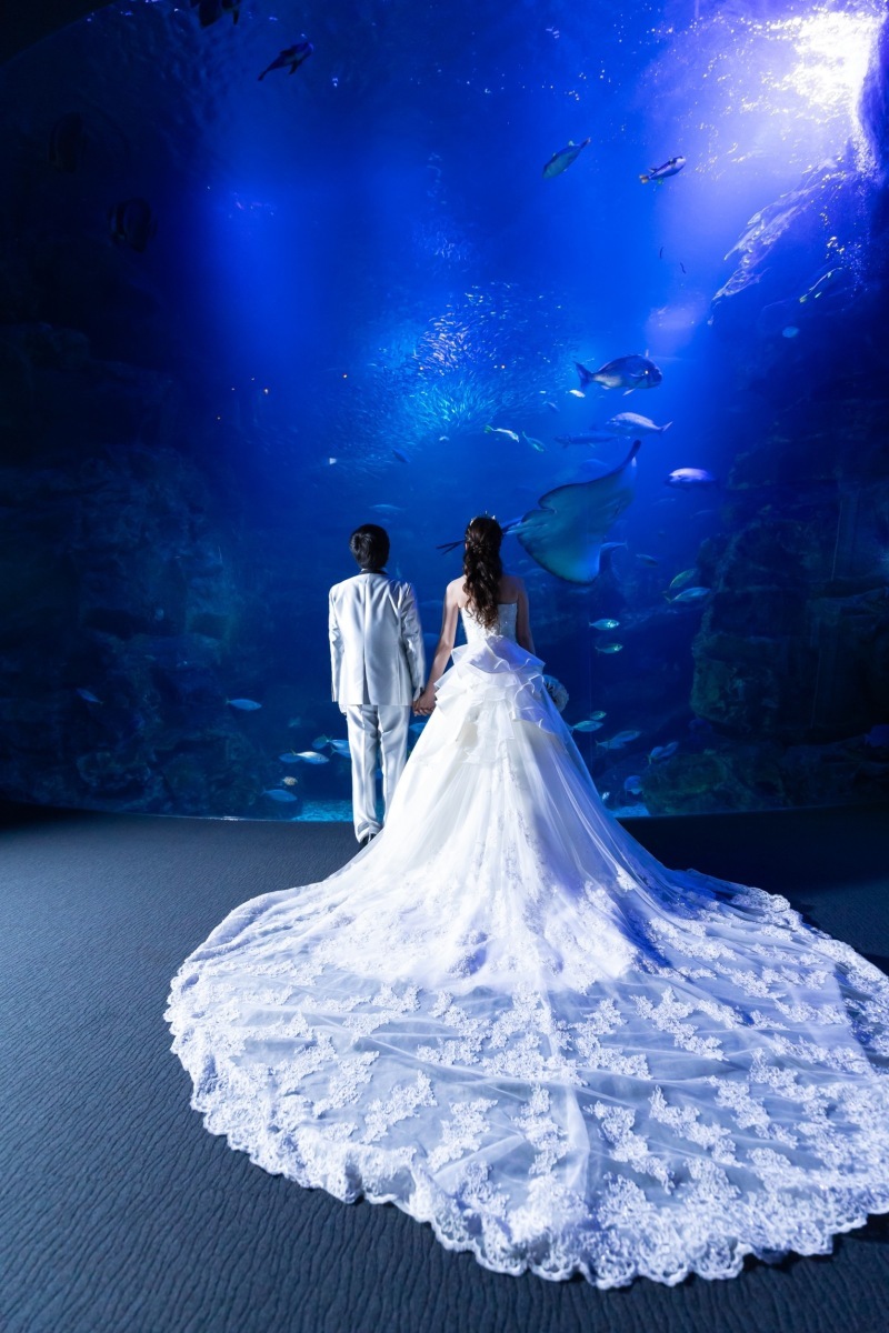 ベルクラシック大阪写真室 (THE BELLCLASSIC OSAKA)_投稿写真