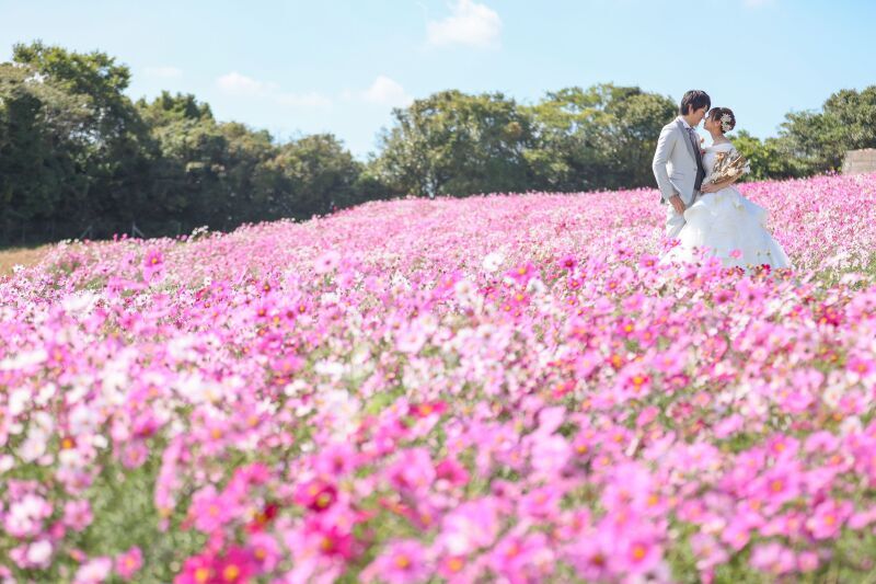 ロケーションフォトが最高！_40139_投稿写真_1