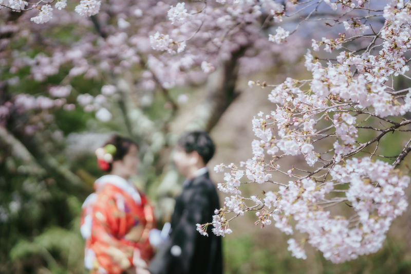 ウエディングドレス クロエ_投稿写真