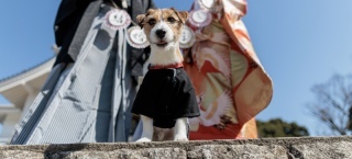 Rita closet・Rita Photo_アドバイス写真