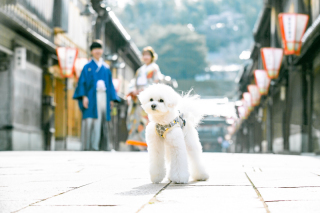 フォトスタジオ カクタス_アドバイス写真