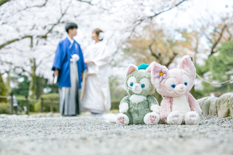 コスパの良いスタジオ_40244_投稿写真_1