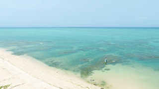 capryフォトウェディング沖縄（キャプリィフォトウェディング沖縄）_アドバイス写真