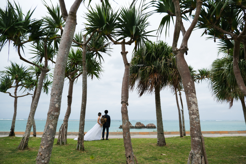 Photo Ciel Bleu_投稿写真