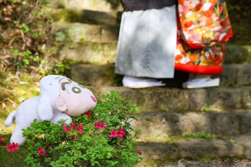 Wedding Story 松戸店_投稿写真