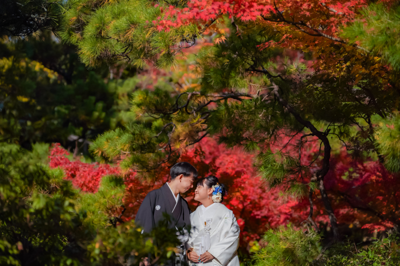 着物の種類が豊富！京都ロケーション撮影がおすすめ_40514_投稿写真_3