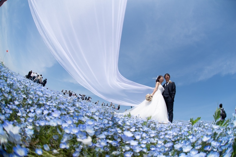 ル・トレフル produced by スタジオエス_投稿写真