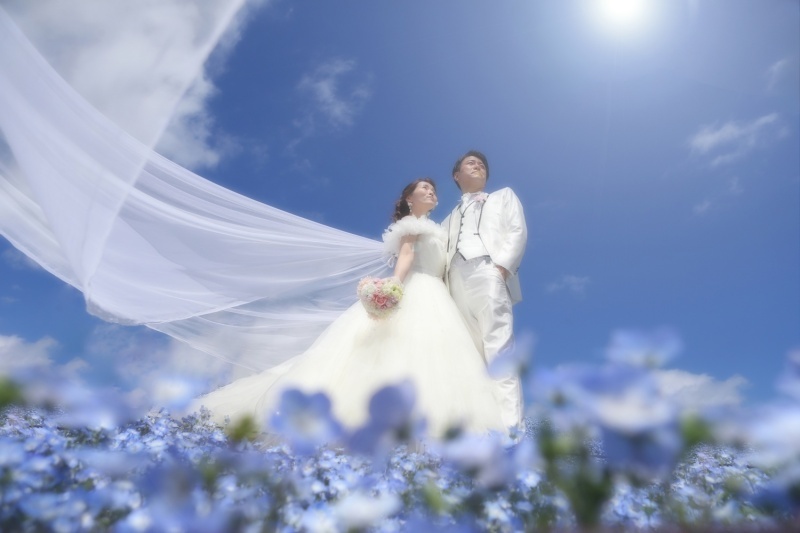 ル・トレフル produced by スタジオエス_投稿写真