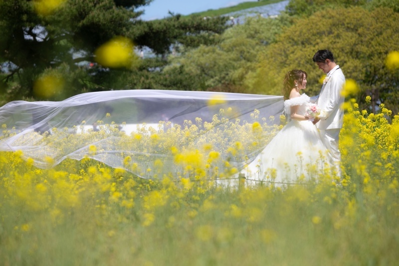 ル・トレフル produced by スタジオエス_投稿写真