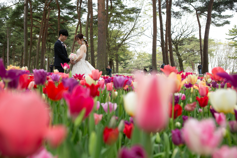 ル・トレフル produced by スタジオエス_投稿写真