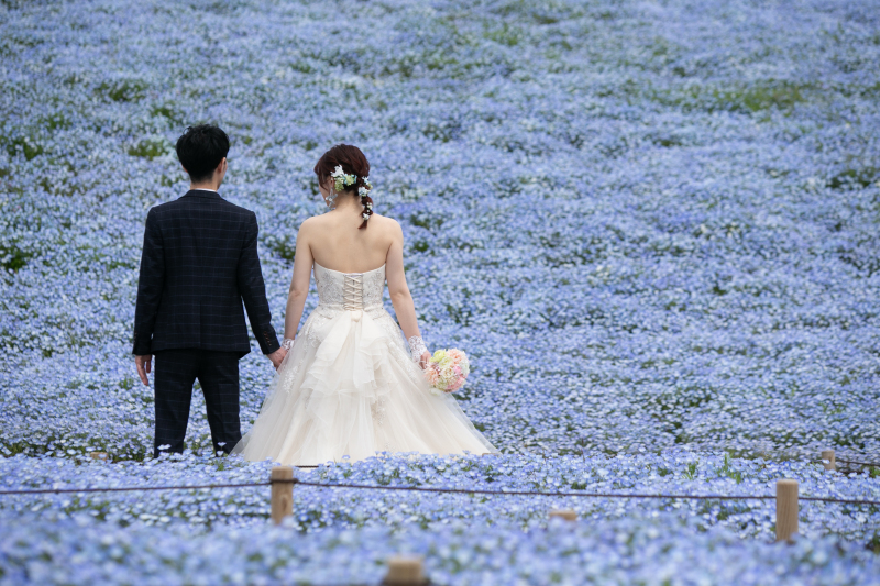 ル・トレフル produced by スタジオエス_投稿写真