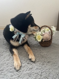 ラヴィファクトリー大宮店_アドバイス写真