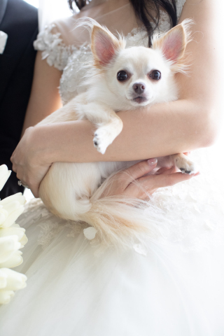 703STUDIO by 1035project_アドバイス写真