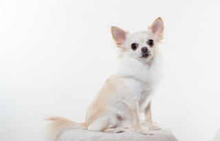 703STUDIO by 1035project_アドバイス写真