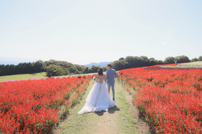 花畑で撮るなら、花さじきのプランがおすすめ！_44778_投稿写真_2