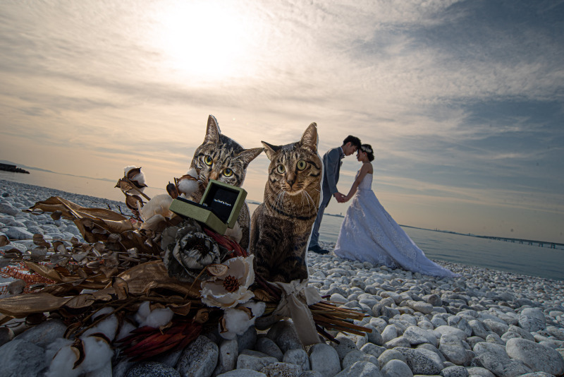前撮り結婚式.com 縁photo _投稿写真