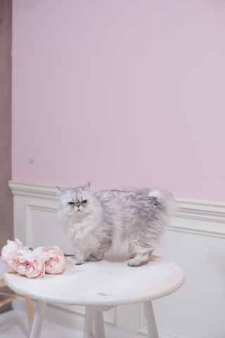 studio FTS_アドバイス写真