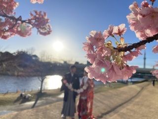 華雅苑　浅草橋本店 _アドバイス写真