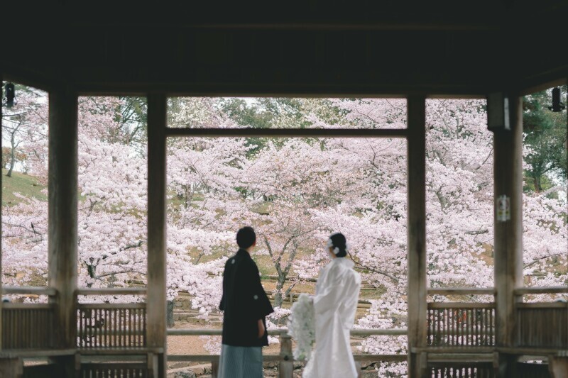 予想以上の素敵な写真でとてもおすすめです！_40832_投稿写真_1