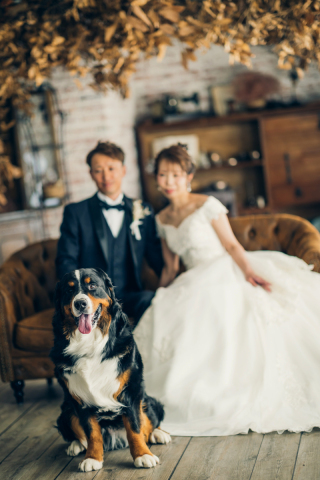 Bridal Photo Studio Lien ～リアン～福山店_アドバイス写真