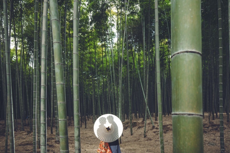 期待以上の写真！_40842_投稿写真_2