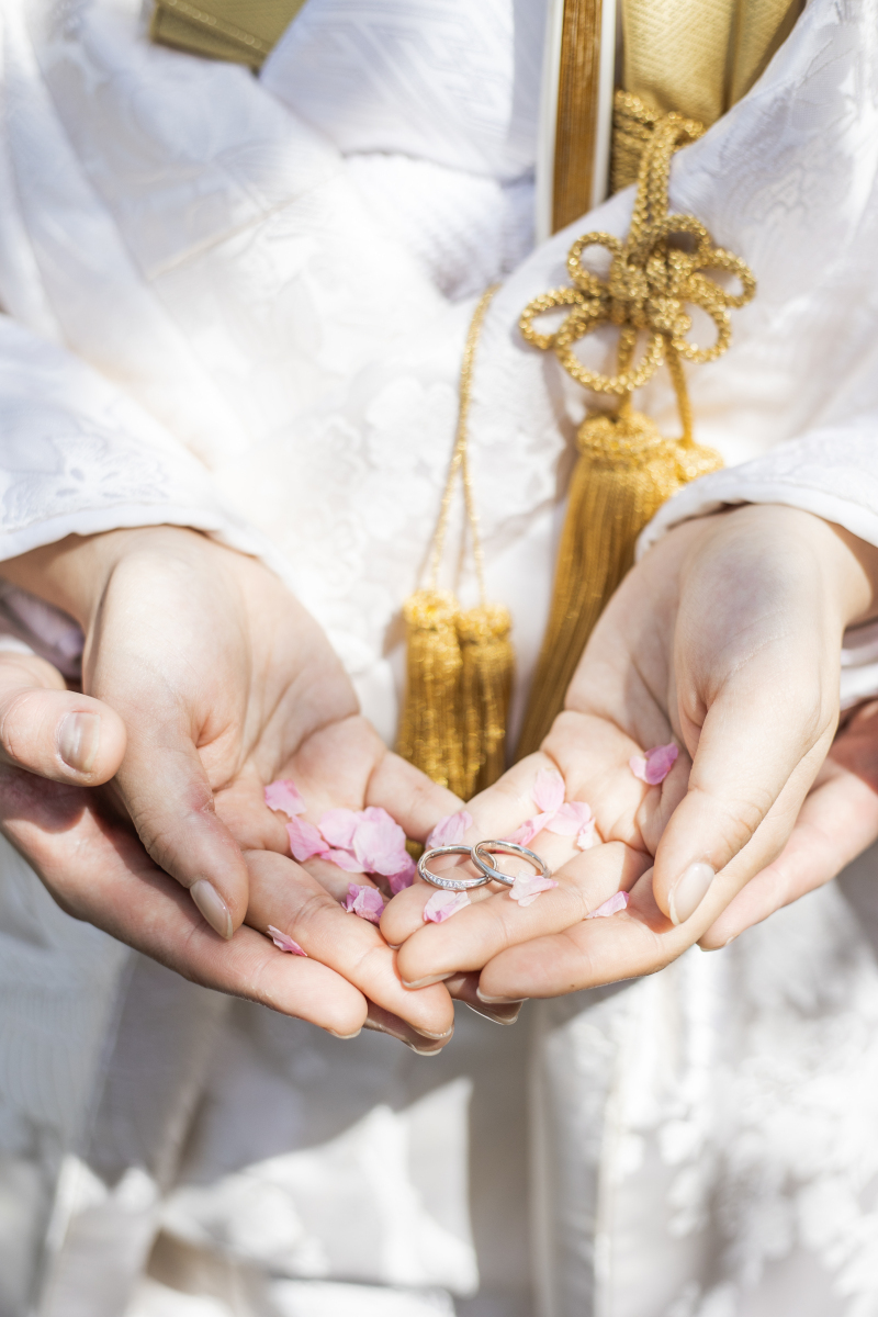 期待以上の写真！_40842_投稿写真_1