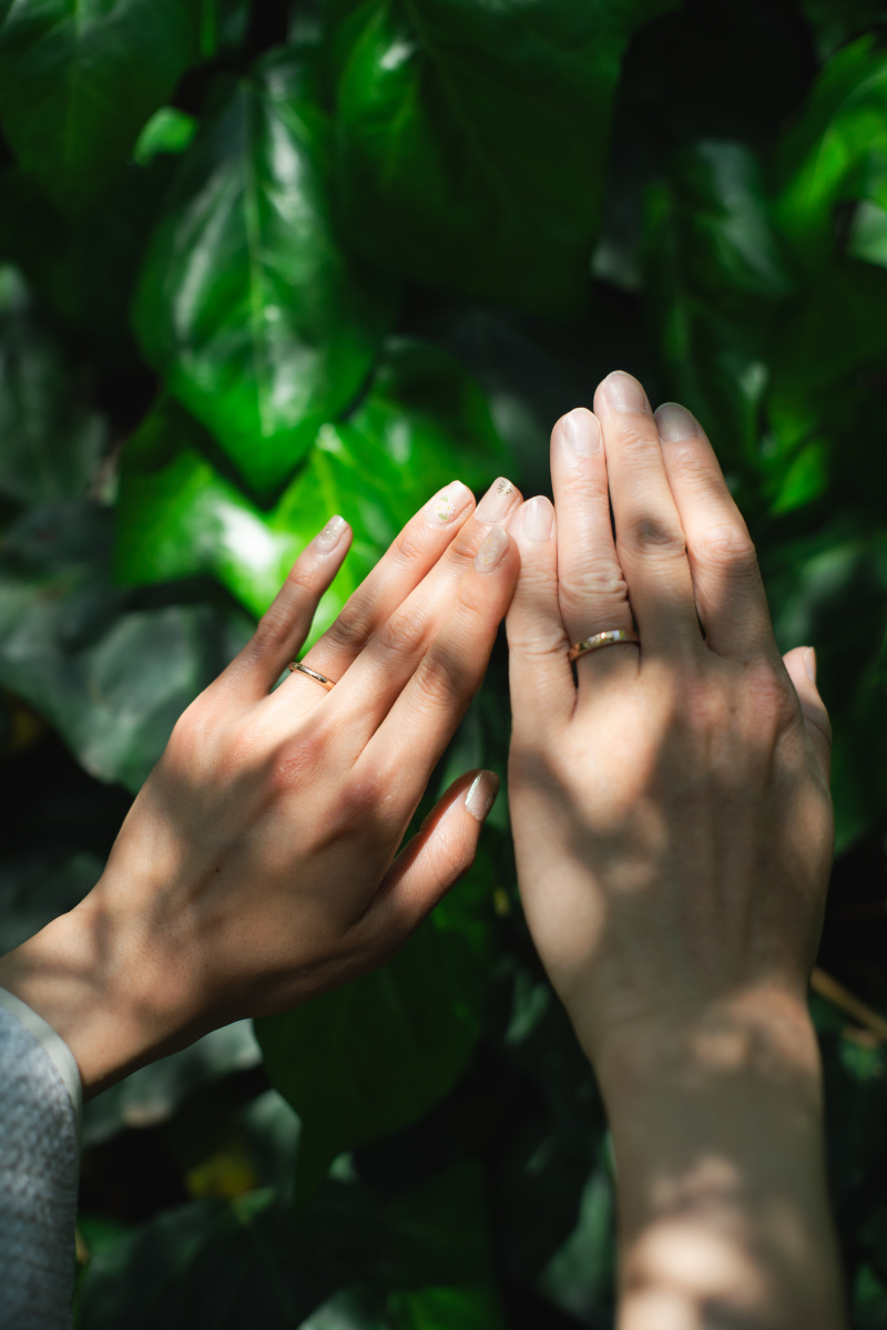 京都 あざらし堂 ー写真部ー_投稿写真