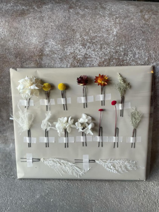 STUDIO TVB 広島店（スタジオTVB）_アドバイス写真