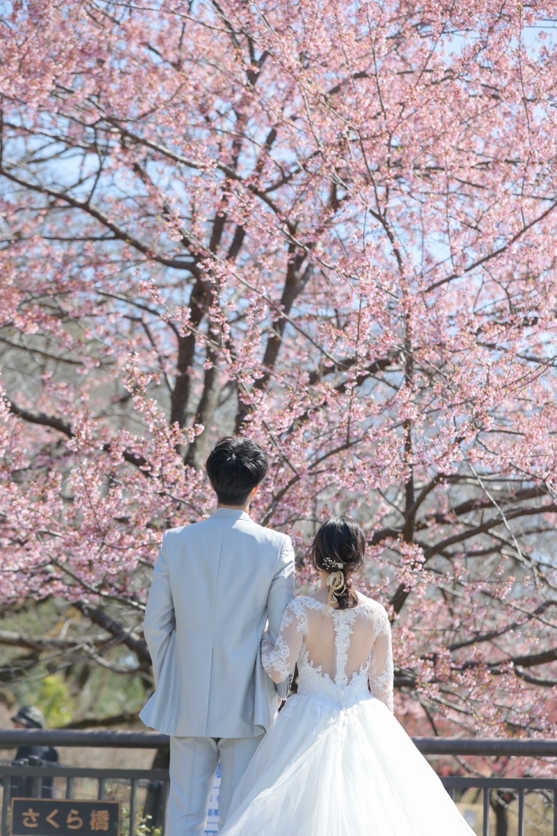 柔軟な対応で、写真が綺麗に仕上がりました！_40947_投稿写真_2