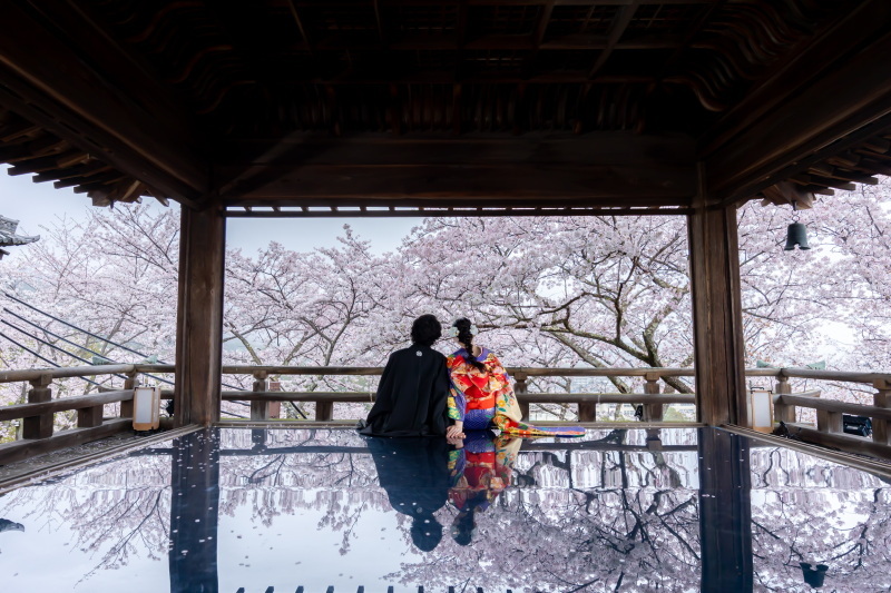 「桜×観月舞台」を叶えてもらえました！_40987_投稿写真_1