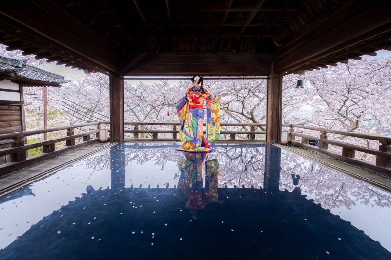 「桜×観月舞台」を叶えてもらえました！_40987_投稿写真_2