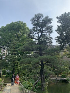 ワタベウェディング広島フォトスタジオ_アドバイス写真