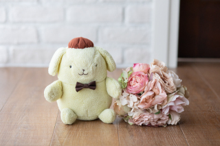 写真だけの結婚式　ecoo（エクー）_アドバイス写真