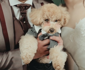 Creators'Genic_アドバイス写真