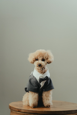 Creators'Genic_アドバイス写真