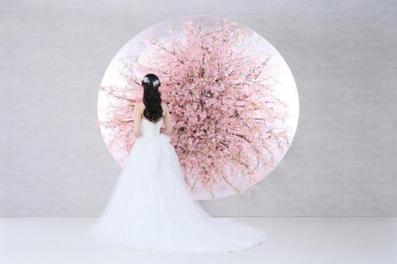 studio LUMINOUS お台場_投稿写真