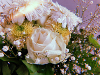 ラヴィファクトリー岡山店_アドバイス写真