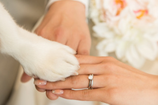 Photo Maison &eacute;crin 大阪店_アドバイス写真