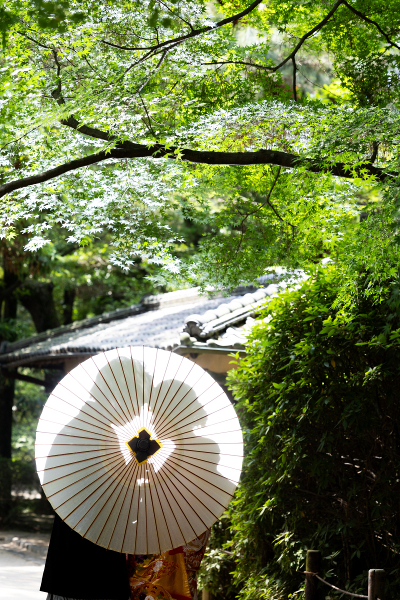 プリエージュokayama by STUDIO View_投稿写真