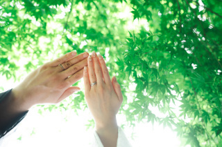 華雅苑　阿佐ヶ谷店_アドバイス写真