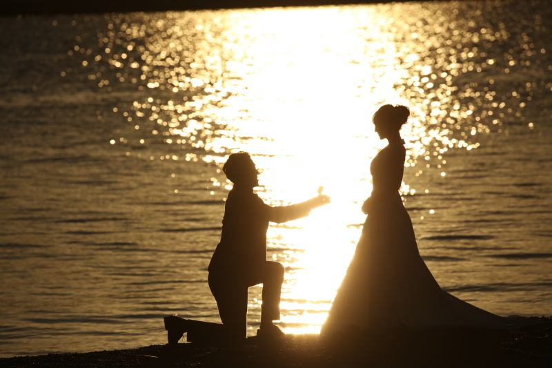 素晴らしい写真のクオリティ！_41539_投稿写真_3