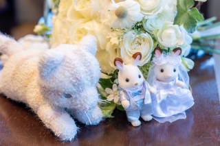 Tabi Photo Wedding ®︎ -京都スタジオ- / フォトスタジオ華色 _アドバイス写真