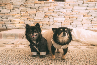 Studio Noi＜ノイ＞_アドバイス写真