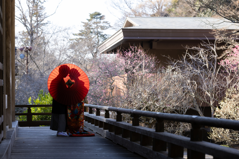 華雅苑　鎌倉店_投稿写真