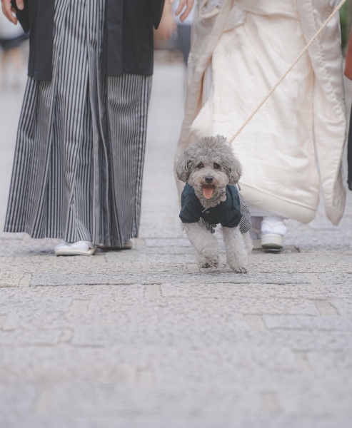 STUDIO TVB 京都店（スタジオTVB）_投稿写真