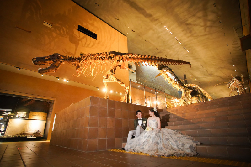 Loemeria（ロメリア）_投稿写真