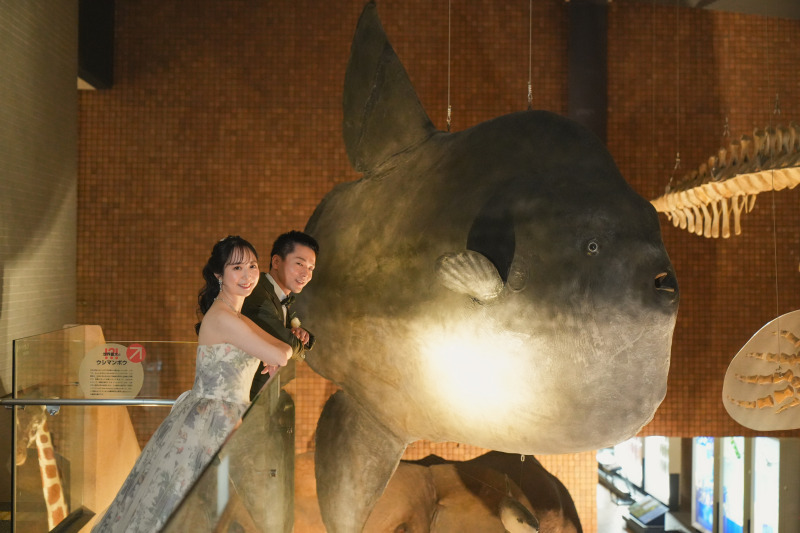 Loemeria（ロメリア）_投稿写真