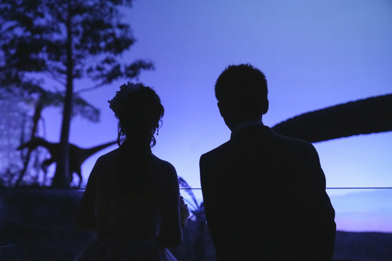 Loemeria（ロメリア）_投稿写真