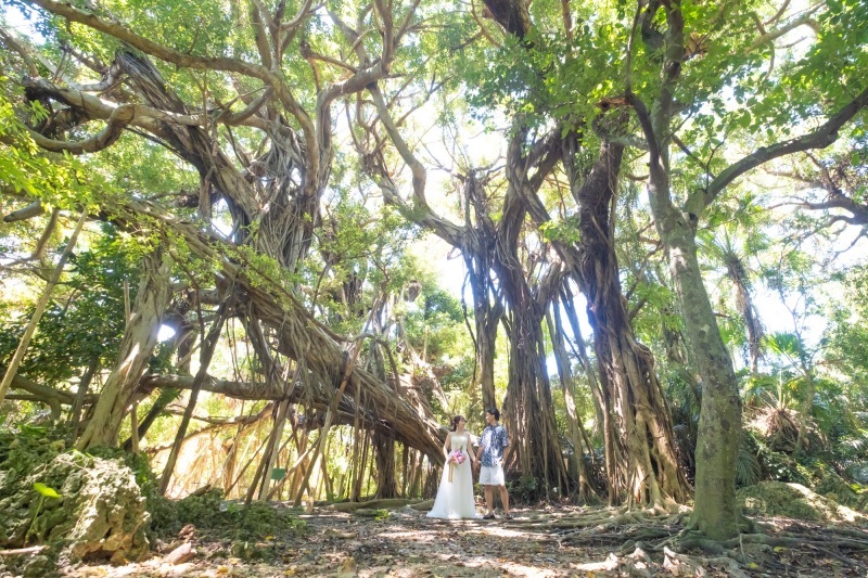 沖縄の海と自然が大好きならouchiさんがオススメ！_42605_投稿写真_2
